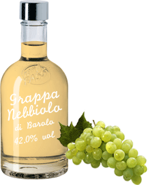 Grappa Nebbiolo di Barolo 42 % alc.